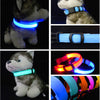 Nylon Pet Dog Collar With Night Safety LED Light - Blindly Shop
