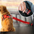 Adjustable Pet Dog Car Seat Belt - Blindly Shop