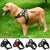 Adjustable Padded Dog Harness Collar - Blindly Shop