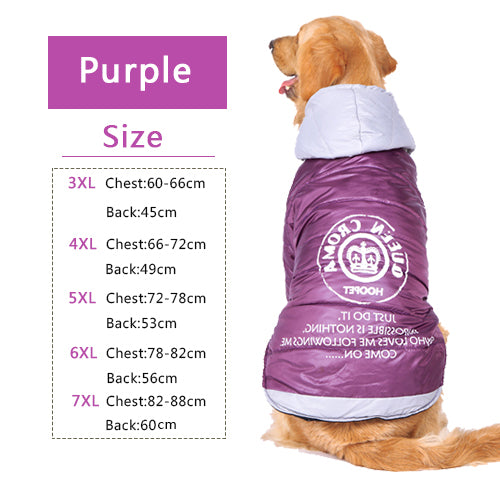 Warm Cotton-padded Two Feet Dog Coat / dogs Hoodie - Blindly Shop