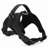 Adjustable Padded Dog Harness Collar - Blindly Shop