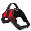 Adjustable Padded Dog Harness Collar - Blindly Shop