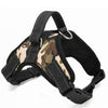 Adjustable Padded Dog Harness Collar - Blindly Shop