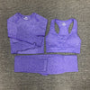 Seamless Women Fitness Sports Yoga Set - Blindly Shop