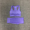 Seamless Women Fitness Sports Yoga Set - Blindly Shop