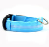 Nylon Pet Dog Collar With Night Safety LED Light - Blindly Shop