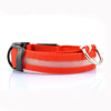 Nylon Pet Dog Collar With Night Safety LED Light - Blindly Shop