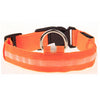 Nylon Pet Dog Collar With Night Safety LED Light - Blindly Shop