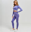 Women Seamless Sports Suits - Blindly Shop