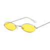 Retro Small Oval Sunglasses for Women