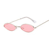 Retro Small Oval Sunglasses for Women