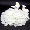 Glow in the Dark Garden Pebbles Glow Stone 50Pcs - Blindly Shop