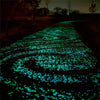 Glow in the Dark Garden Pebbles Glow Stone 50Pcs - Blindly Shop